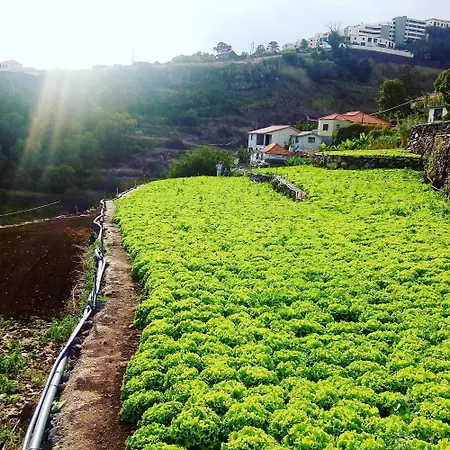 Casa Ti'rosa بيت للعطل *