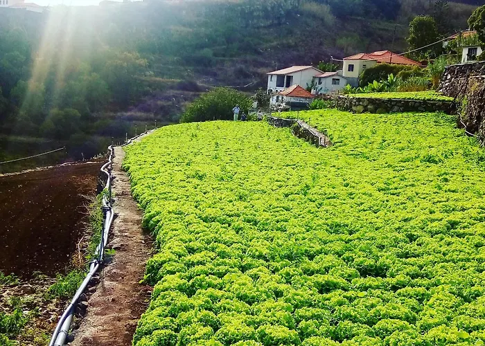 Casa Ti'rosa Prázdninový dům *